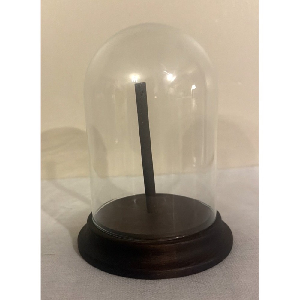 Vintage GLASS CLOCHE DOME DISPLAY w/Dark Walnut Finish - 5" Tall x 3" Diameter